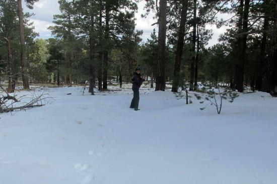 Snow near Mica Mtn.