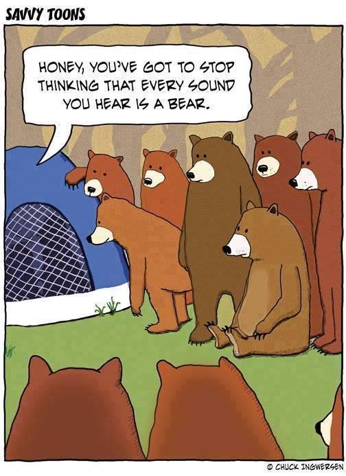 Bear noise at night