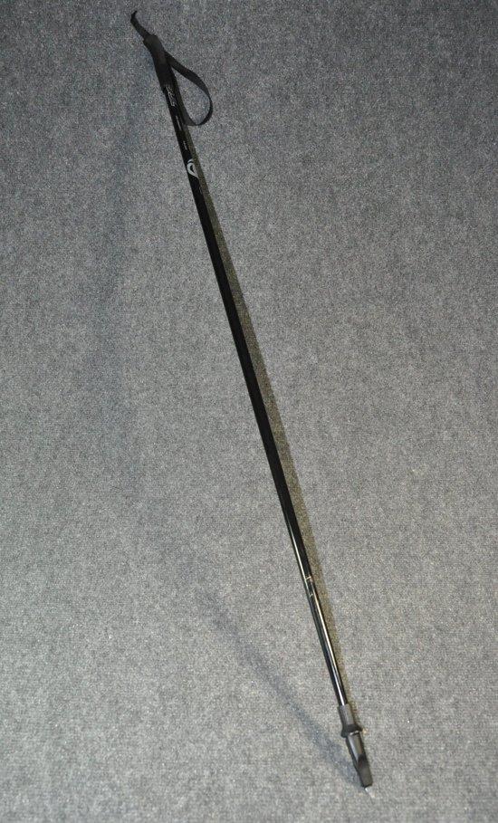 Ski pole