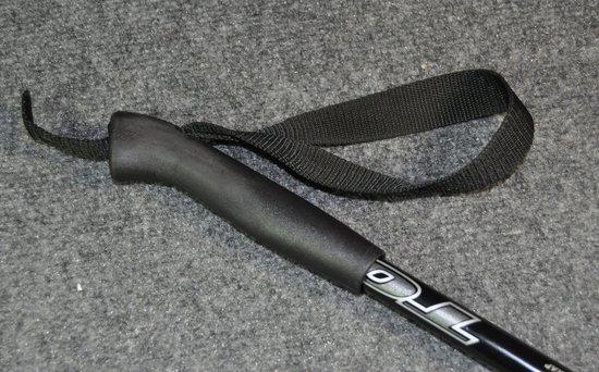 Ski pole