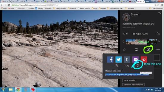 screenshot of flickr