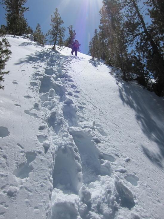Deep steep snow