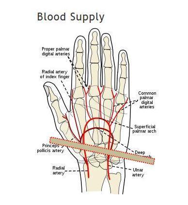 hand