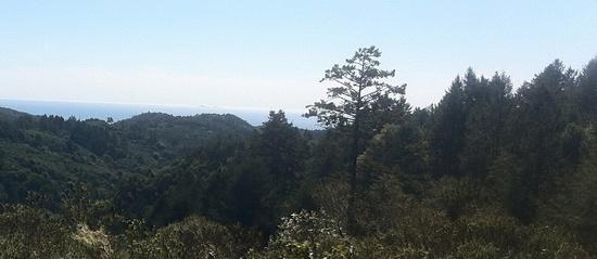Farallones by Bayview trail