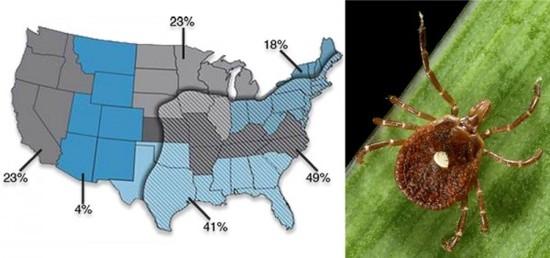 Regional rates of meat allergy vs populations of the lone star tick. From sciencemag.org