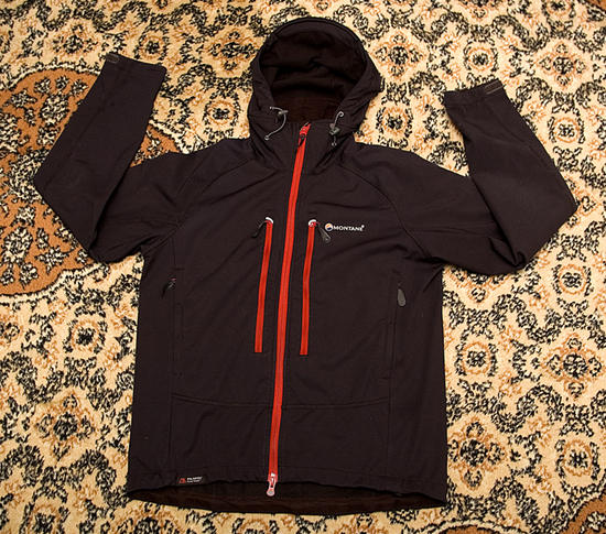 montane sabretooth