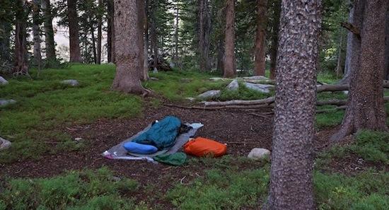 low and sheltered