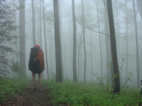 georgia fog