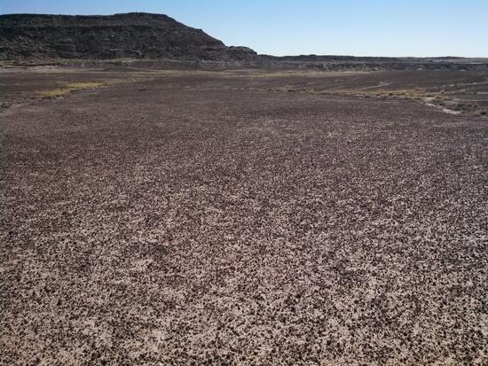 desert pavement