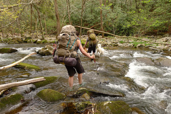 Creek 1