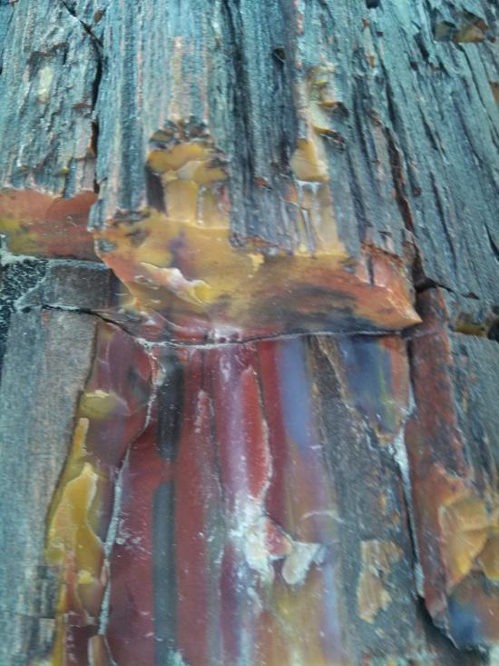 Wood 3