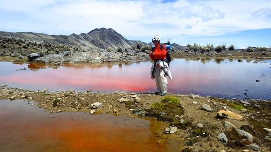 Red pond