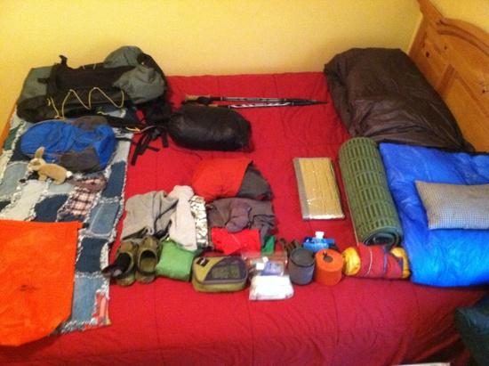 Gear