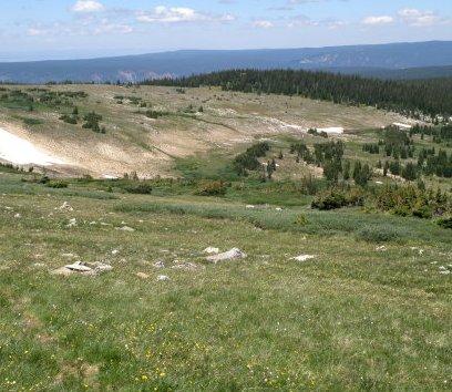 Above/Near Treeline
