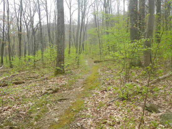 Finally good to back on the trail..