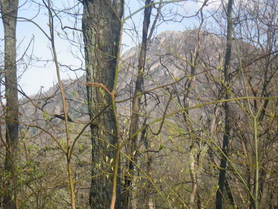 on the way down...