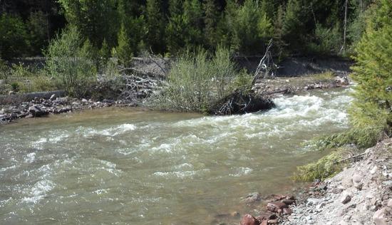 Mean Dean Creek