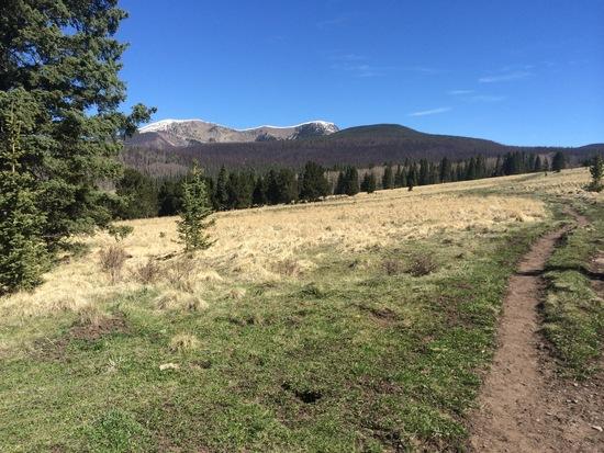 Towards Jacks Ck Spring 2014
