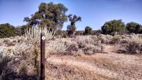 PCT marker