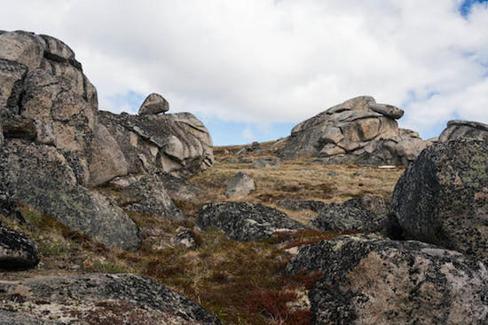 The Tors 4