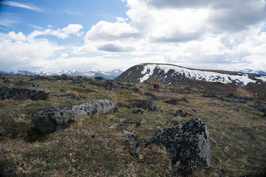 The Tors 7