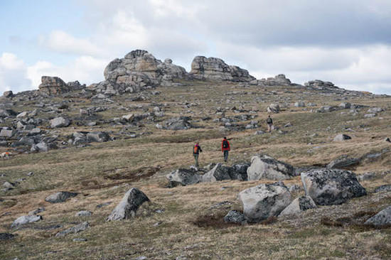 The Tors 8
