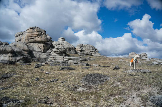 The Tors 9