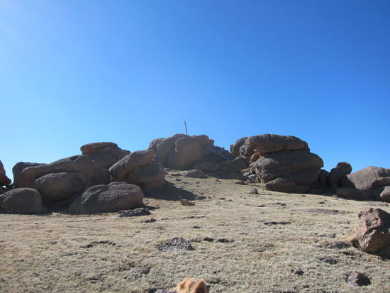 Bison summit