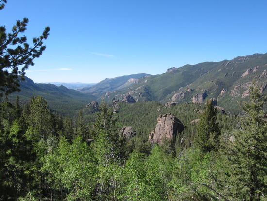 view south