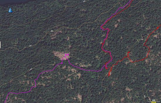 Garmin BirdsEye in BaseCamp