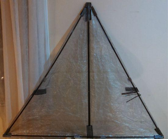 Kite Umbrella