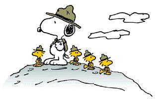 scouts