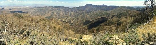 Mcknight panorama 1