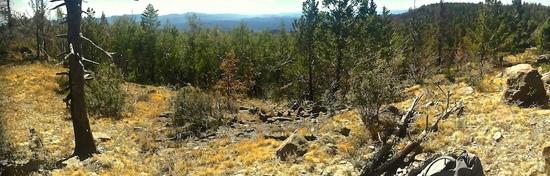 mcknight panorama 2