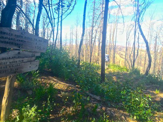 trail junction mcknight pk