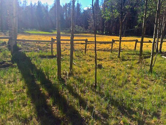 Mimbres Lk June 2014