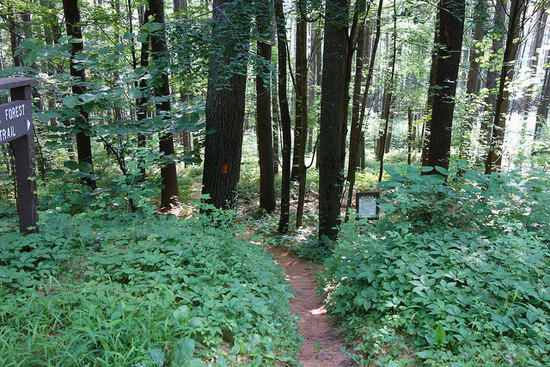 Trail Head