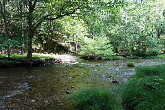 Creek