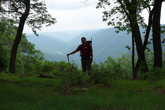 Looking down Pine Creek