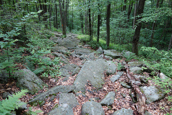 typical pa trail