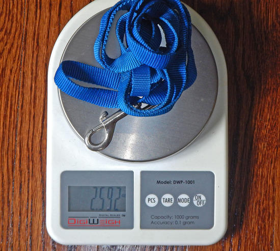 dog leash standard