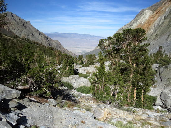 Baxter Pass Trail, looking east, around 11,000 feet
