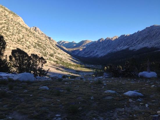 Trail to Forester