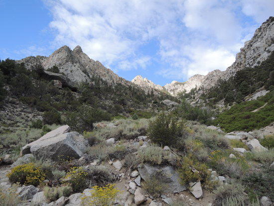 Kern006
