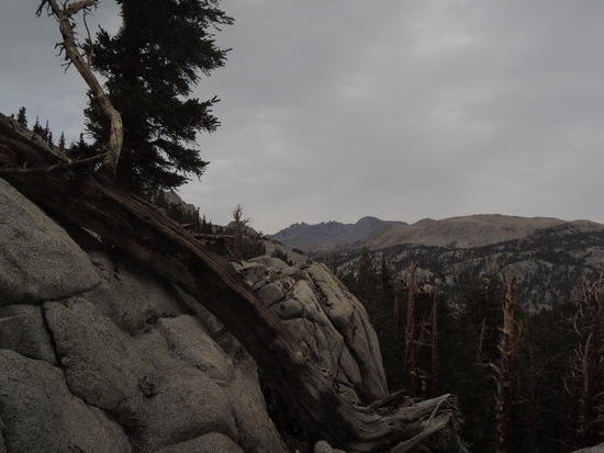 Kern081