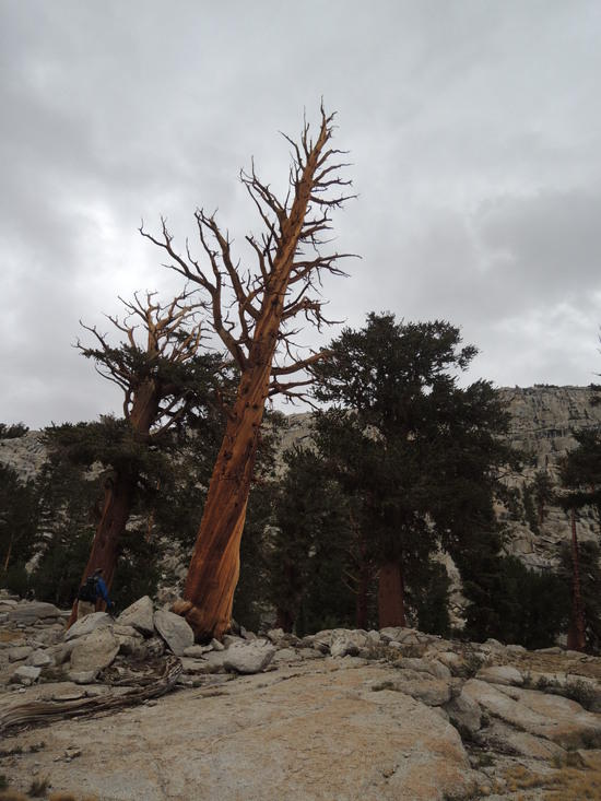 Kern095