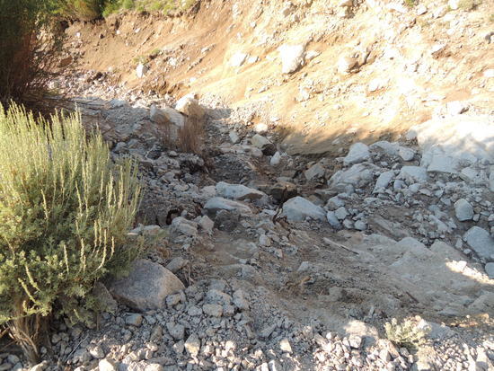 Kern143