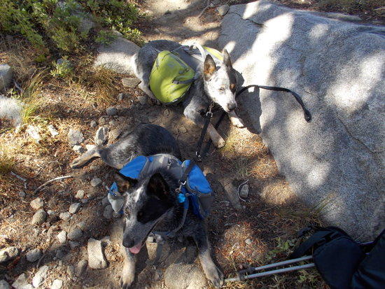 Taking a Break on the Trail