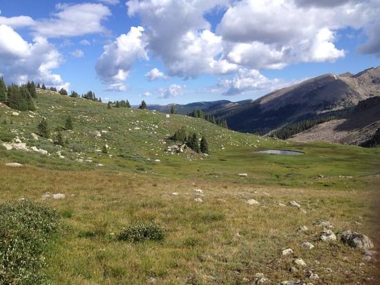 Midway Pass
