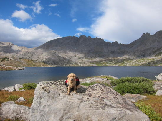 Halls Lake